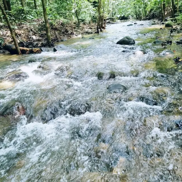 FASCINATING AND STUNNING KEMENSAH TRAIL❤️