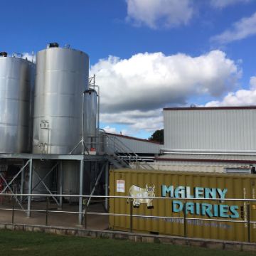 Maleny Dairy Farm