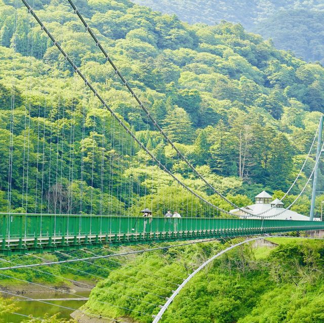 栃木県塩原　もみじ谷大吊橋