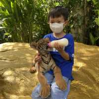 泰國曼谷Safari World 野生動物園世界