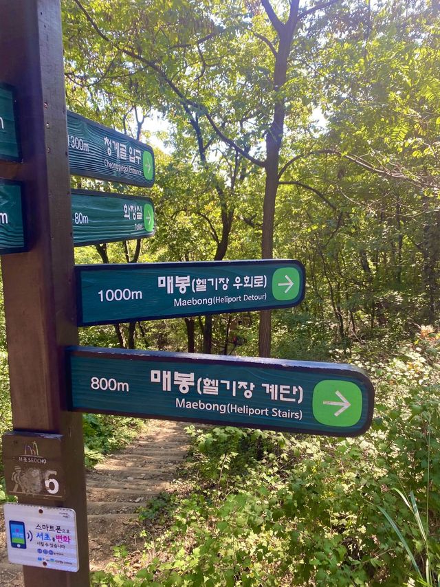 등린이 입문으로 추천하는 청계산⛰