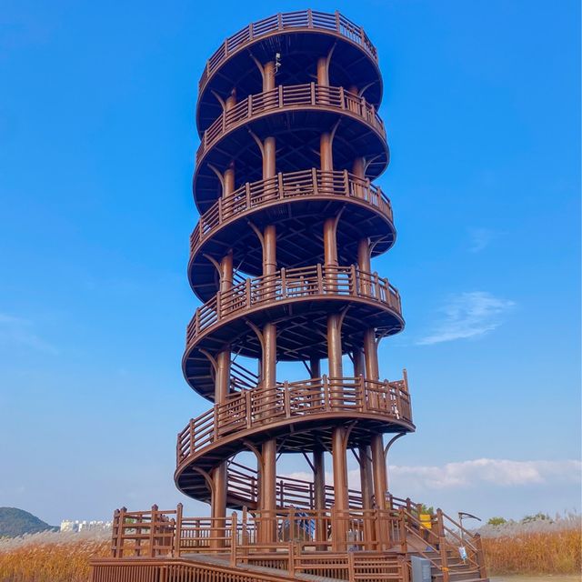 서울 근교 드라이브 코스 🍂시흥 갯골생태공원