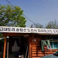 고대도 각시당, 당산 피크닉