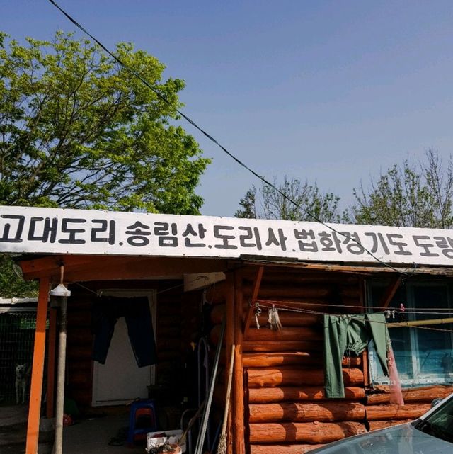 고대도 각시당, 당산 피크닉