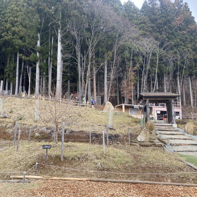 天空之鳥居