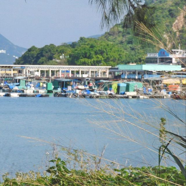 南丫島半日遊，真是令人心曠神怡！