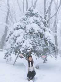 제주 눈 올때 갈만한 코스! 윗세오름 등반 ❄️