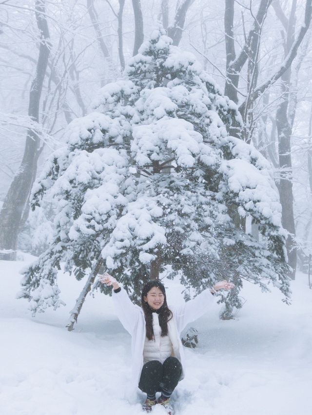 제주 눈 올때 갈만한 코스! 윗세오름 등반 ❄️