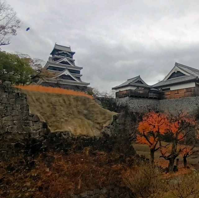 Kumamoto ทางเลือกที่พักราคาไม่แรง เดินทางสะดวก