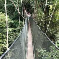 Great moment in nature view