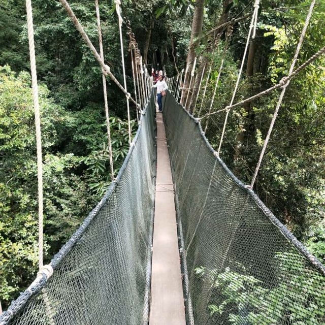 Great moment in nature view