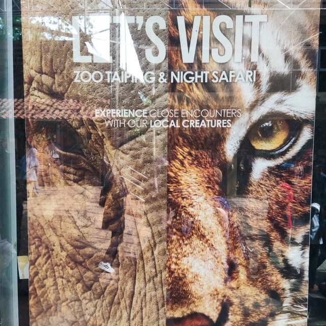 Wonderful Experience in Taiping Zoo