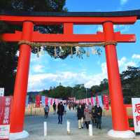 【京都】初詣はパワースポットの上賀茂神社から