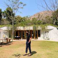คาเฟ่ Hobbitลับใต้ดิน บรรยากาศแห่งขุนเขา
