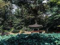 พระราชวังชางด๊อกกุง (Changdeokgung Palace)