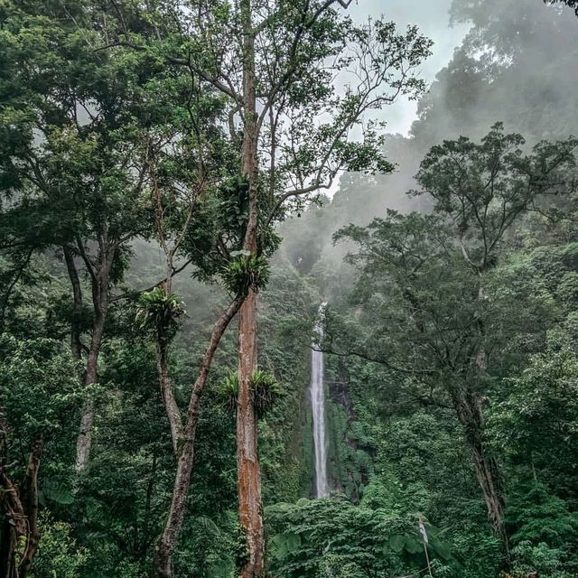 TANCAK WATERFALL : JEMBER