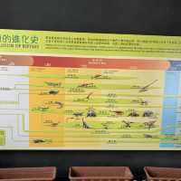 屯門公園隱秘高質爬蟲館