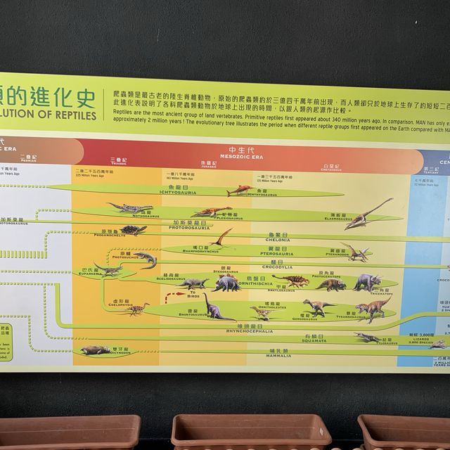 屯門公園隱秘高質爬蟲館 屯門公園隱秘高質爬蟲館