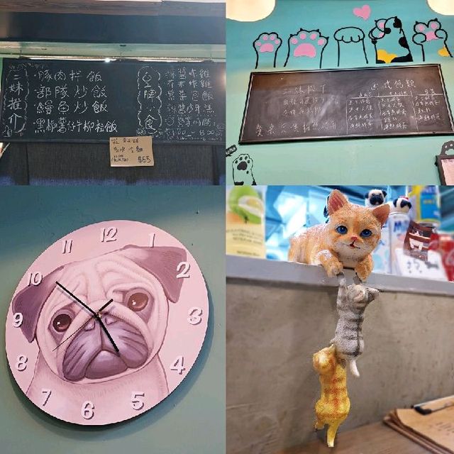 貓貓韓小店