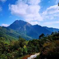 三山連走－觀音山、羌山、靈會山