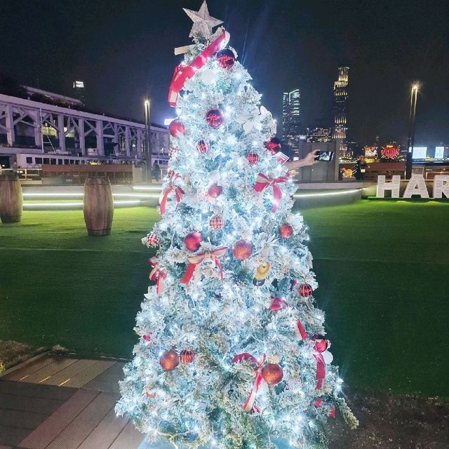 灣仔海旁|香港最多聖誕樹|浪漫野餐|仲要免費入場!