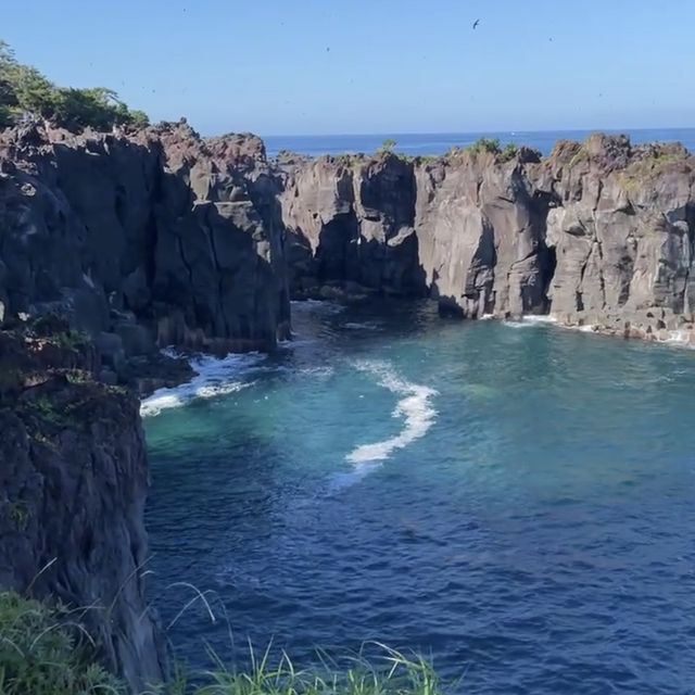 【静岡】スリル満点の「城ヶ崎海岸」の吊橋