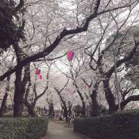 飛鳥山公園