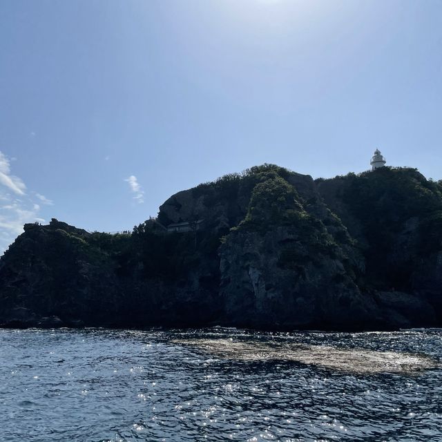 【静岡】伊豆の秘境！石廊崎クルーズ🛥