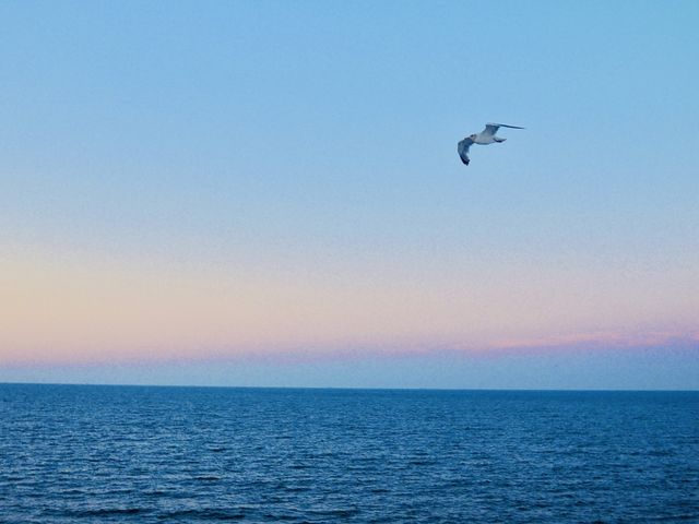 丹麥美人魚雕像小記