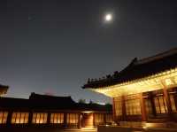 경복궁 별빛야행 야간관람 🏰🌙