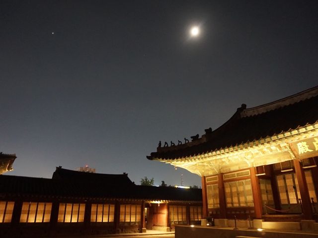 경복궁 별빛야행 야간관람 🏰🌙