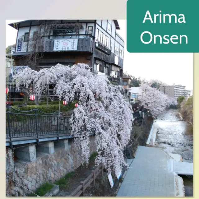 【兵庫   有馬温泉】サクラ咲きほこる日本の美🌸🌸🌸