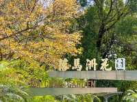 另一高處 落馬洲花園