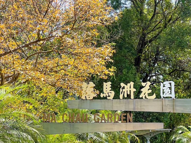 另一高處 落馬洲花園 另一高處 落馬洲花園