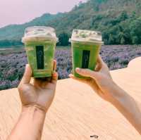 CHAN nature cafe' 
