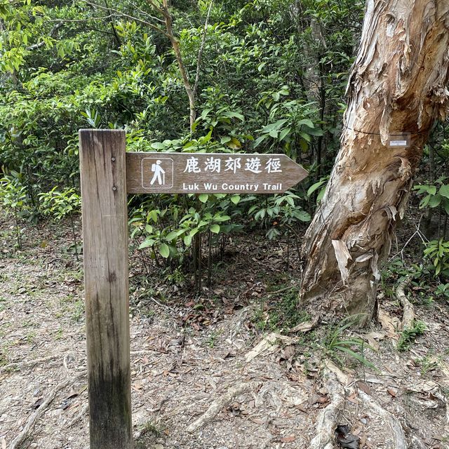 Beautiful hike in Sai Kung