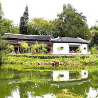 北區公園都可以影得好靚