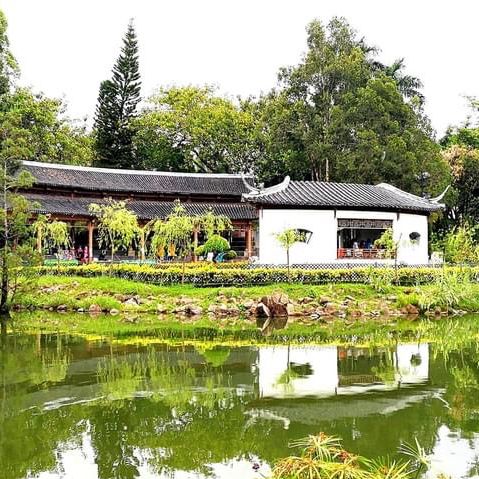 北區公園都可以影得好靚