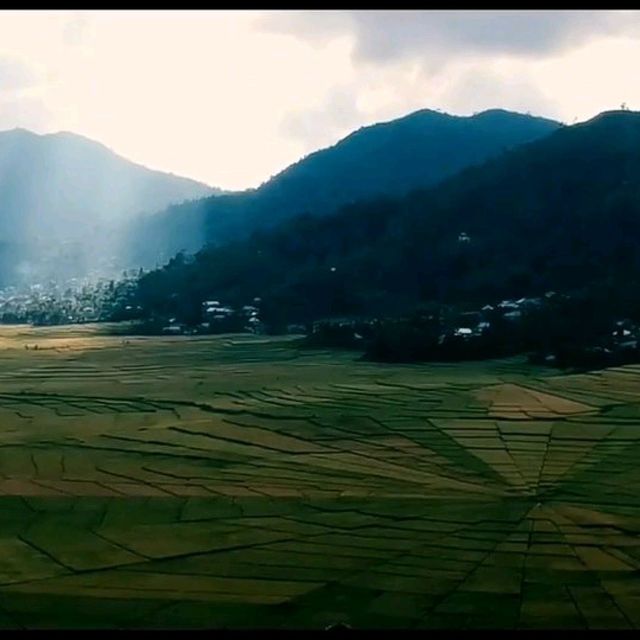 Spider Rice Field in Ruteng