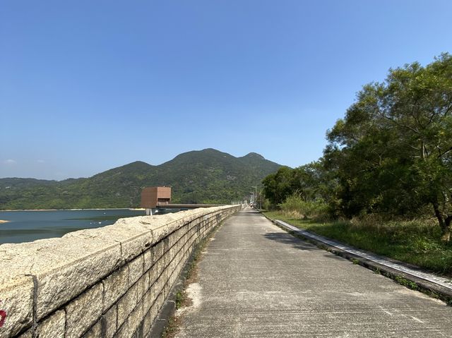 大欖水塘
