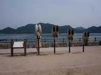 日本廣島｜兔仔島🐰🐰😍😍