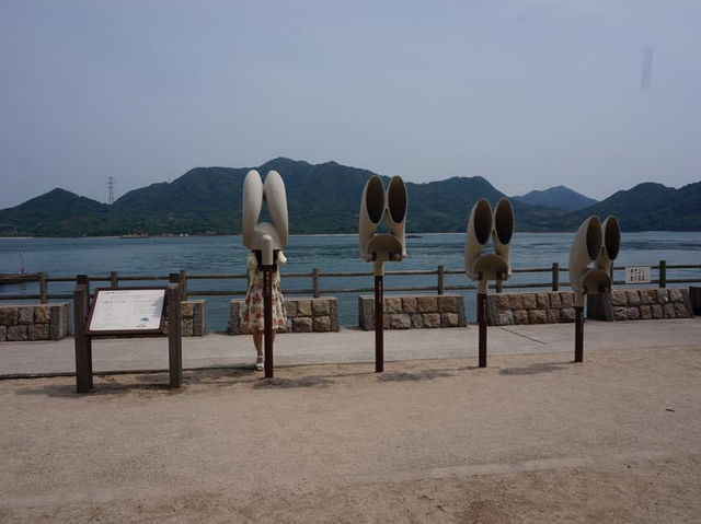 日本廣島｜兔仔島🐰🐰😍😍