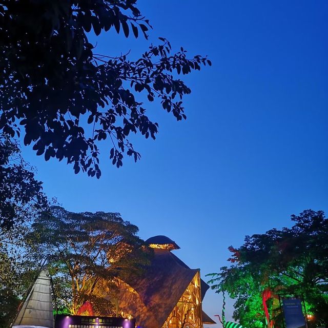 湾区美景～南沙水鸟世界生态园