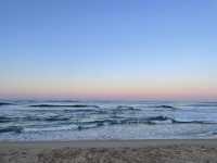 서피비치에서 인생사진 찰칵 🌊💙