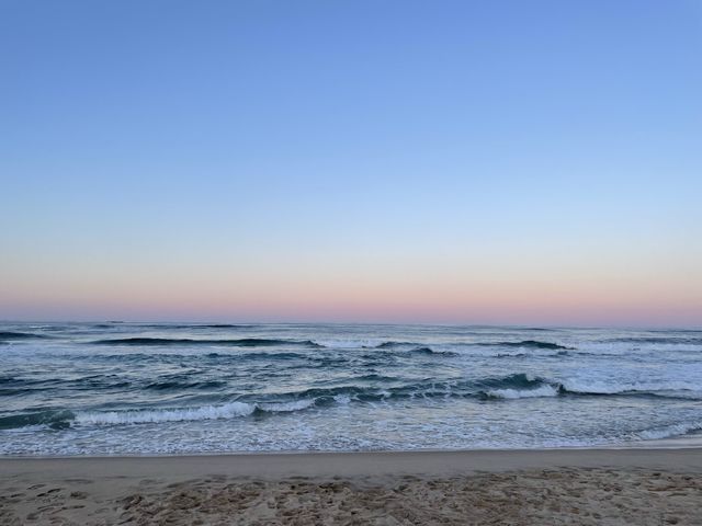 서피비치에서 인생사진 찰칵 🌊💙