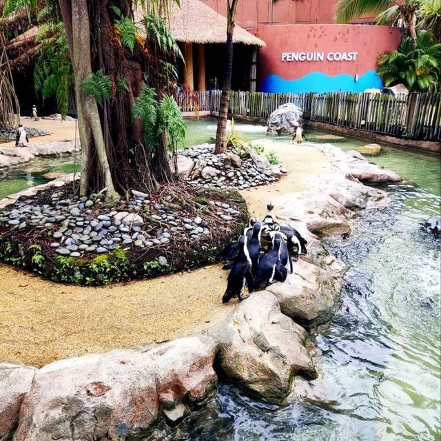 Jurong Bird Park