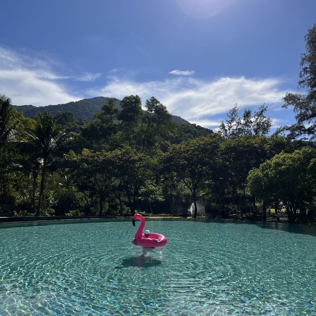 ✈️🏖️ 수영하러 베트남가자~! 수영장이 아름다운 앙사나 랑코🧚🏻‍♂️