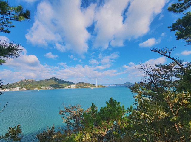 목포 전망대 💙 피크닉 명소