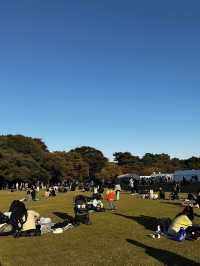 도쿄 신주쿠 도심속의 오아시스!🏞️ 신주쿠 교엔