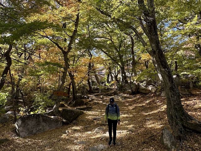 Autumn 🍂 foliage with lovely hiking trail 